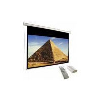 Draper Electric Screen (800001)